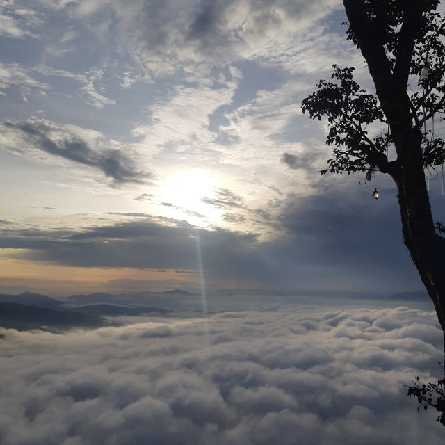 Lolai, Toraja's Land Above the Clouds