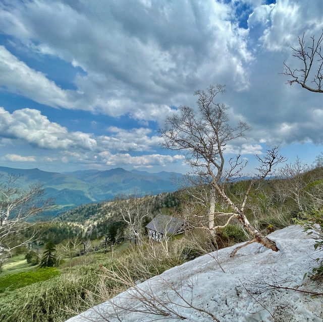 Unveil Hokkaido's Alpine Wonders