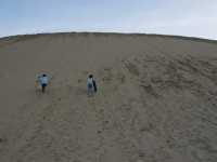 Te Paki Sand Dunes