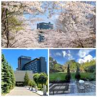 札幌酒店：舒適住宿，完美度假體驗🇯🇵 Sapporo Park Hotel 札幌パークホテル