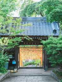 都内紫陽花映えスポット🪷🎐🎐🫧【法輪寺】