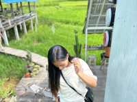 🪴 นา ตา ทา จ.น่าน 🪴