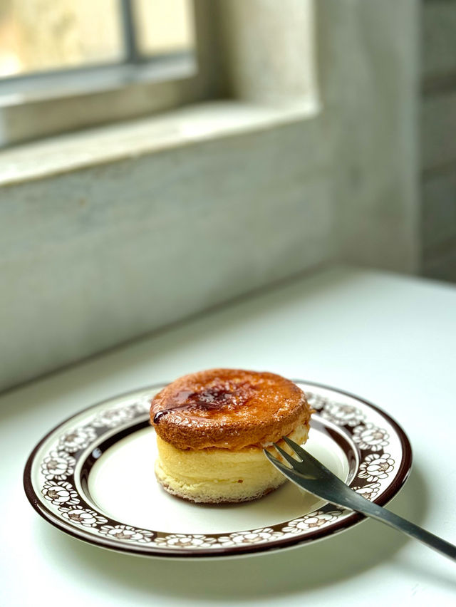 🍊제주 구좌 카페 젤리소다 맛집 치즈태비