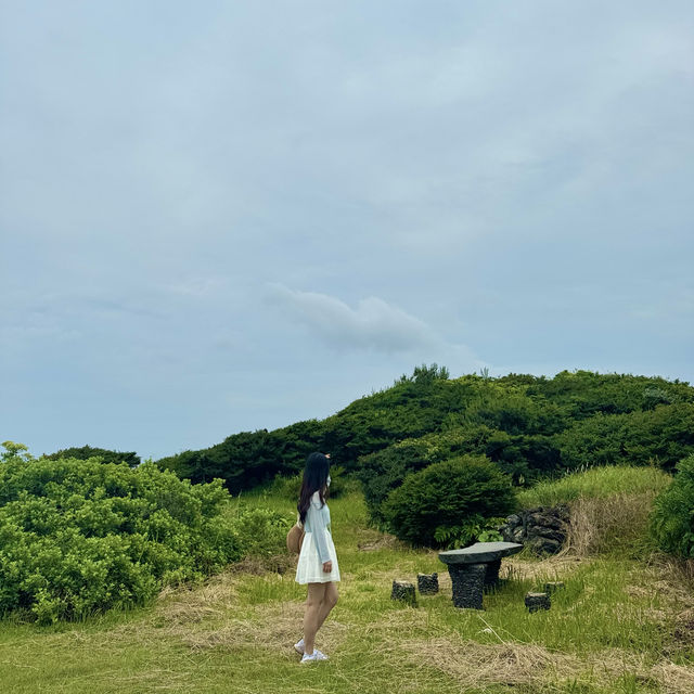바다와 수국을 함께 담을 수 있는 이곳 ✨