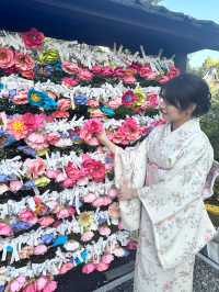 〜京都府〜絶世の美女のお寺さん歴史を感じる雅なお寺