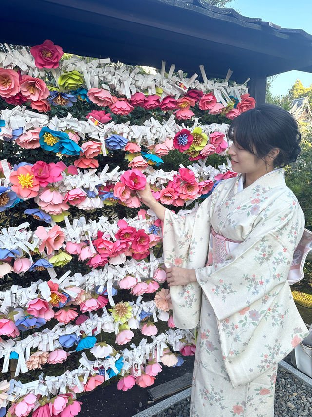 〜京都府〜絶世の美女のお寺さん歴史を感じる雅なお寺