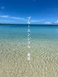 【奄美】南国！絶対行くべき土盛海岸（ともりかいがん）