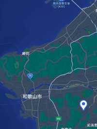 無料【穴場スポット】蓮の絶景無料スポット˚˖𓍢ִ︎✿❁﻿✧˚平池緑地公園