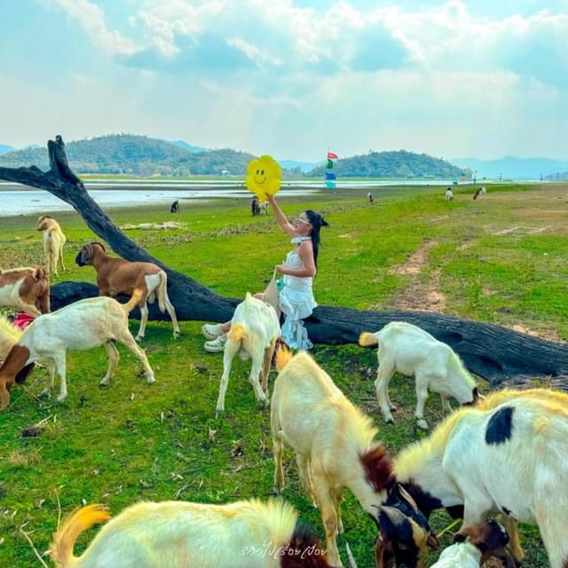 Morethan beach and Cafe