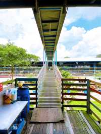 Feeding Cute Animals at BSL Ecofarm