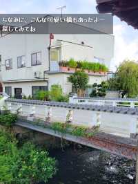 【兵庫】丹波篠山／篠山城周辺グルメ＆土産店 6選