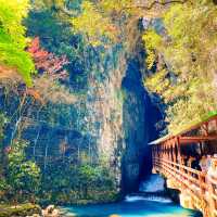 【秋吉台】山口県の絶景スポット！