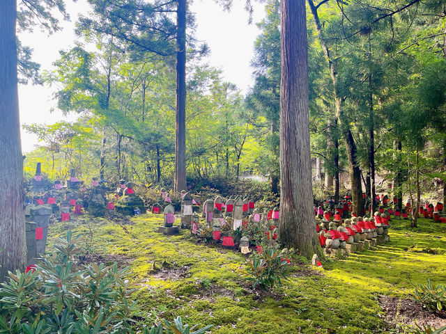 【京都】天橋立が龍のように見える絶景ビュースポット！