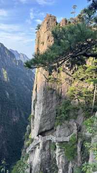 Chasing Sunsets and Peaks: My Huangshan Adventure 🌄⛰️✨