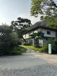 남한산성의 자연을 바라보며 🌳여유롭고 느긋한 시간을 보낼 수 있는 감성카페추천 💚