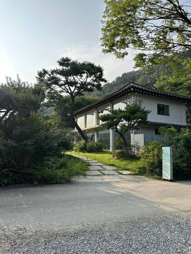남한산성의 자연을 바라보며 🌳여유롭고 느긋한 시간을 보낼 수 있는 감성카페추천 💚