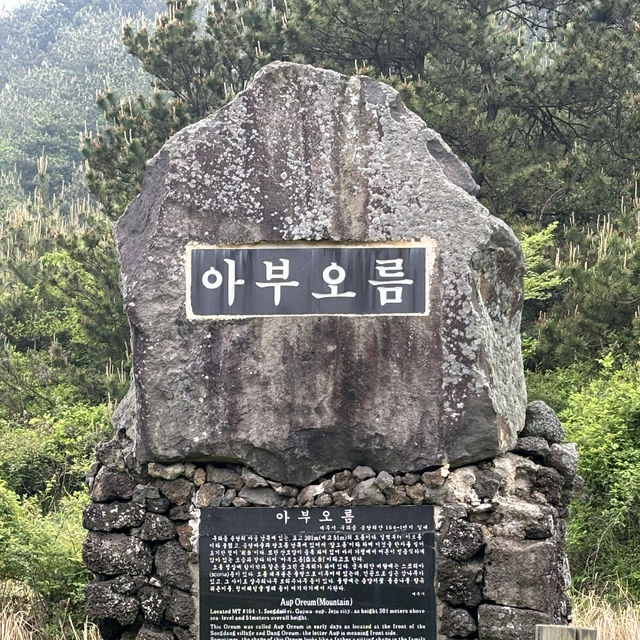 제주여행🏝️ 다섯번째 오름, 왕초보자도 오를 수 있는 아부오름🌳