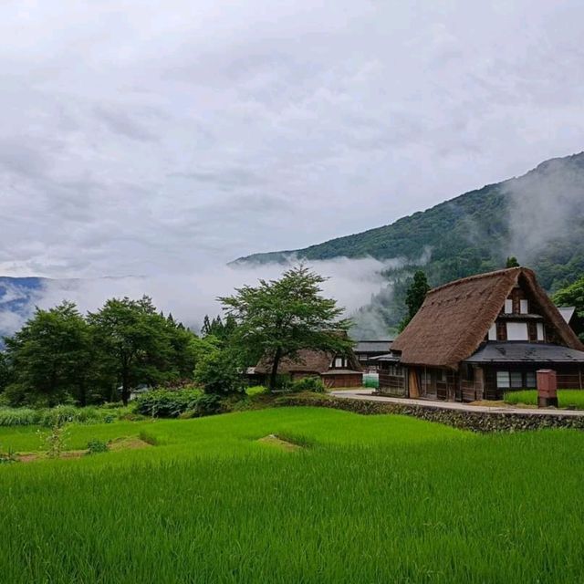 Amazing village... Ainokura 