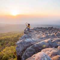 ลานหินปุ่ม