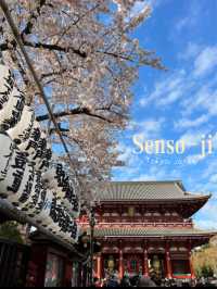 Senso-ji is Tokyo’s Oldest Temple ⛩️🇯🇵