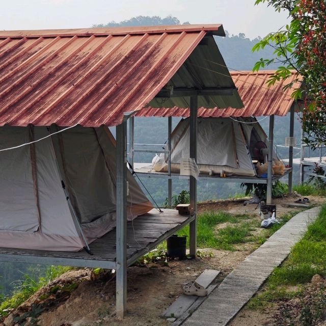 Love Birds, Camping and Durian Party?🎉