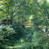 京都三千院 ⛩️🍵 寧靜緻雅的好去處 ✨