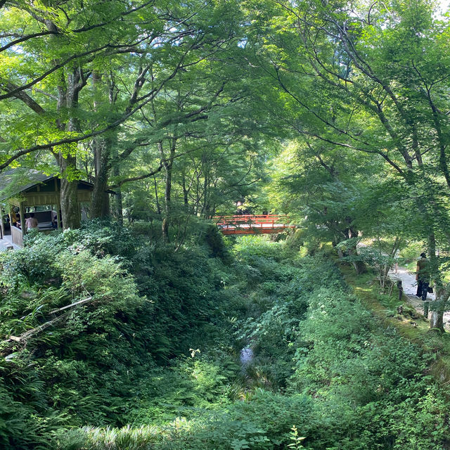 京都三千院 ⛩️🍵 寧靜緻雅的好去處 ✨