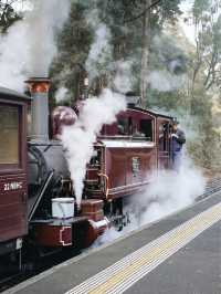 🇦🇺墨爾本 一定要體驗Puffing Billy Railway！竟然可以坐到手腳都可以伸出車外的古老蒸氣火車