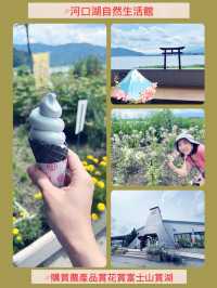 【河口湖】大石公園：薰衣草花海，富士山河口湖美景