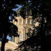 Nature and Art Nouveau