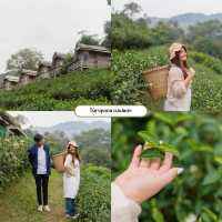 แจกพิกัด9ที่เที่ยวเชียงใหม่⛰️