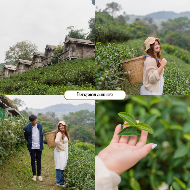 แจกพิกัด9ที่เที่ยวเชียงใหม่⛰️