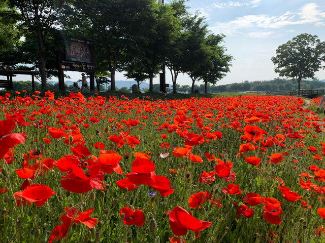 경주 여행 가볼 만한 곳