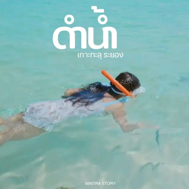 Lặn biển, ngắm san hô, bơi cùng cá, đi đảo