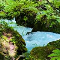 洛陽之滝：水晶明鏡般的美景