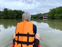 พายKayakจากทะเลเข้าป่าชายเลน🌳สุดตื่นเต้น! 