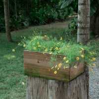 The Humble Jack - คาเฟ่ของกระต่าย Jack 