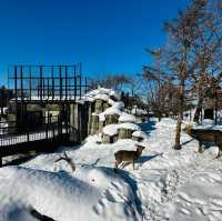北海道旭山動物園