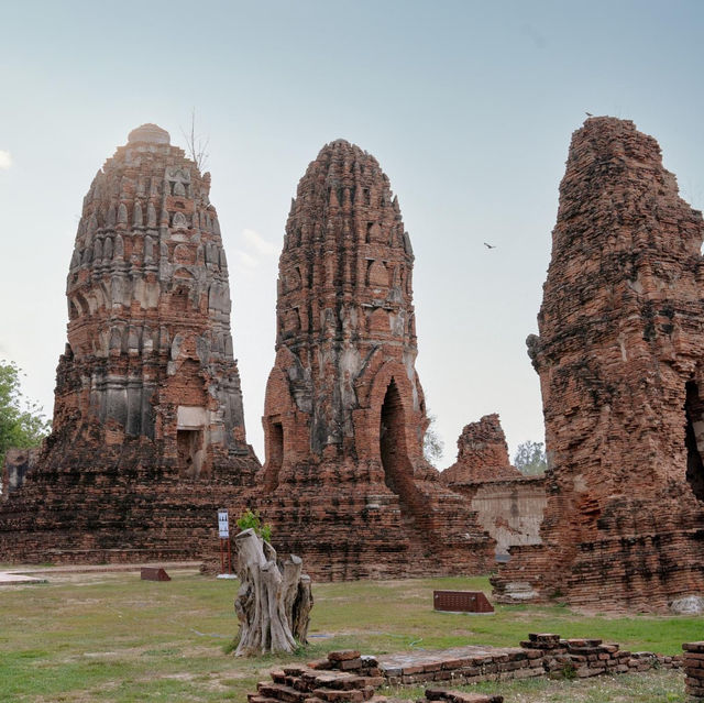 One Dhatu Ayutthaya Premium Homestay