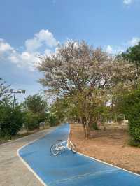 ที่พักเชียงคาน | จ.เลย 🏡⛰️🚲☀️
