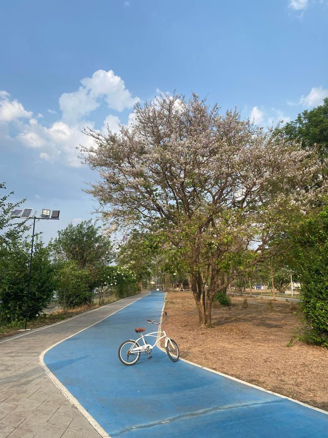 ที่พักเชียงคาน | จ.เลย 🏡⛰️🚲☀️