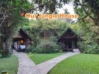📍Our Jungle House จ.สุราฎร์ธานี