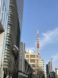 🌆 麻布台之丘展望台 - 東京の絶景を一望する特等席🗼