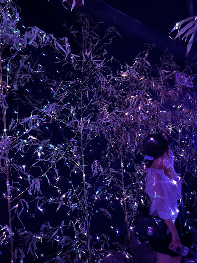 제주 뚜벅이의 비오는 날을 책임질 미디어아트 전시회🎪