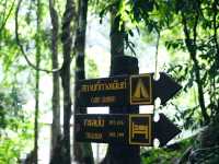 อุทยานแห่งชาติทะเลบัน ในวันที่ฝนตก