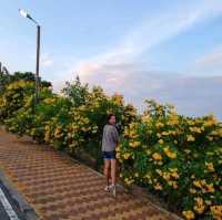 จุดชมวิวเมืองพัทยา แหลมบาลีฮาย