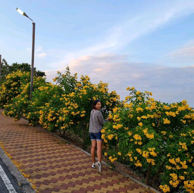 จุดชมวิวเมืองพัทยา แหลมบาลีฮาย