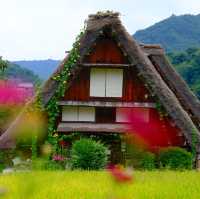 Shirakawa go หน้าร้อนก็สวยไม่แพ้ฤดูอื่นนะคะ