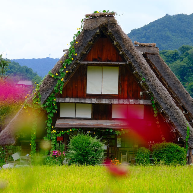 Shirakawa go หน้าร้อนก็สวยไม่แพ้ฤดูอื่นนะคะ