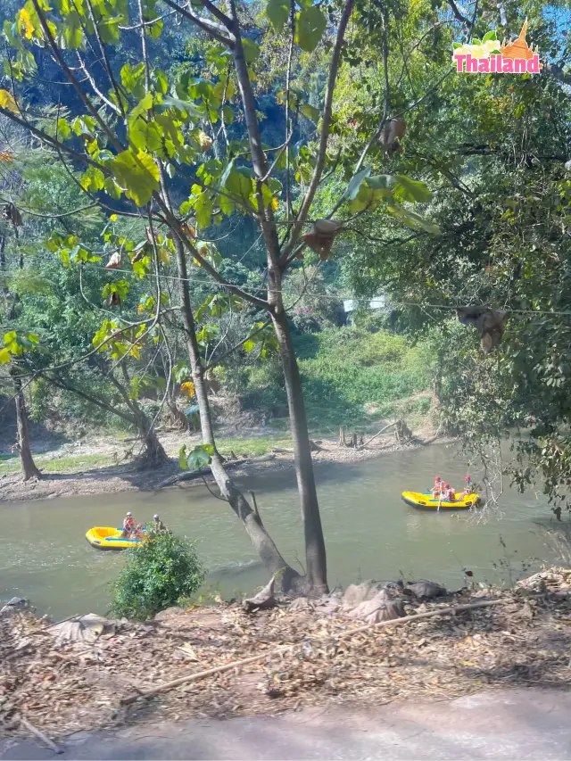 🇹🇭 Chiangmai White Water Rafting